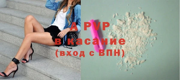 a pvp Магас