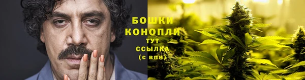 a pvp Магас