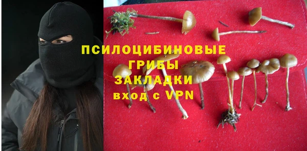 меф Майский