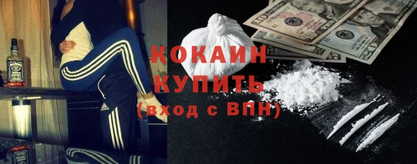 a pvp Магас