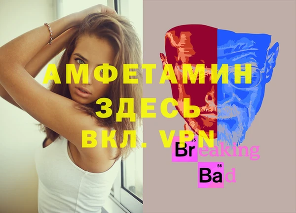a pvp Магас